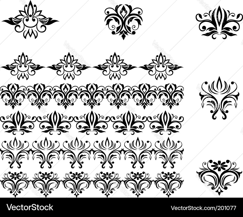 Floral Scroll Patterns & Borders vector image