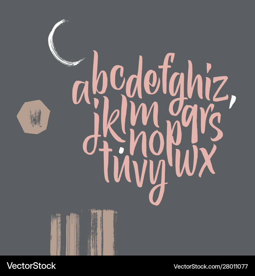 Handwritten font script latin calligraphic set Vector Image