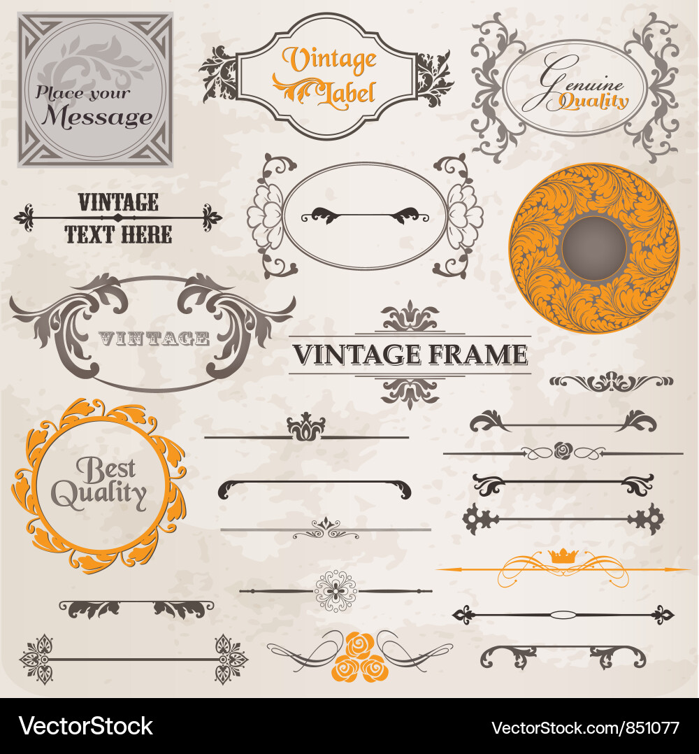 Vintage Calligraphic Frames & Elements vector image