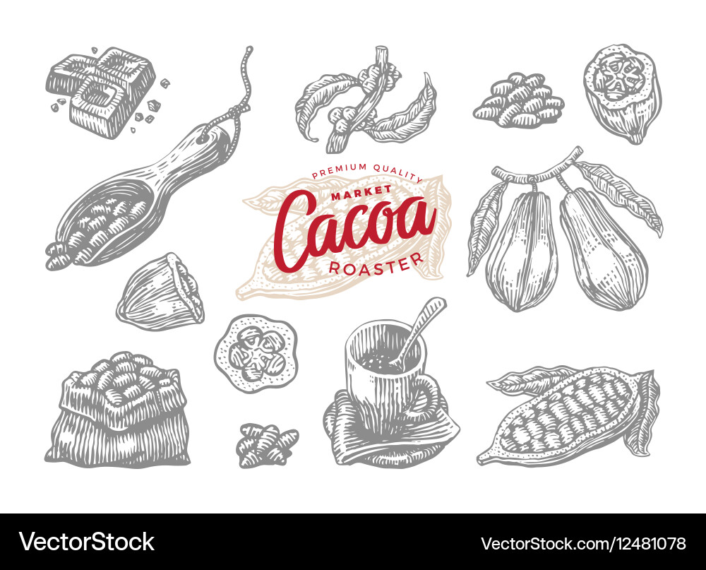 Cocoa Elements Set - Engraving Style vector image