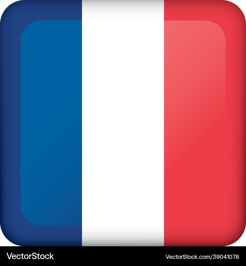 Icon representing square button flag of france Icon representing square button flag of france Vector Image