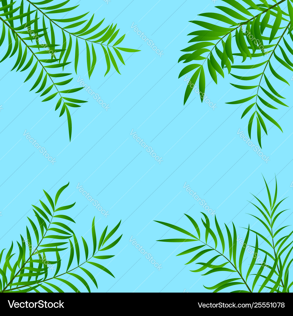 Tropical Palm Leaves Background Vector Image