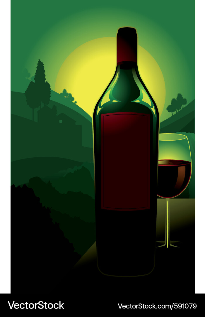 Scenic Vineyard Sunset vector image