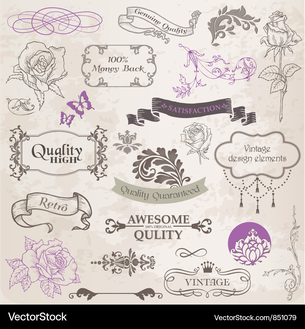 Vintage Calligraphic Floral Elements vector image