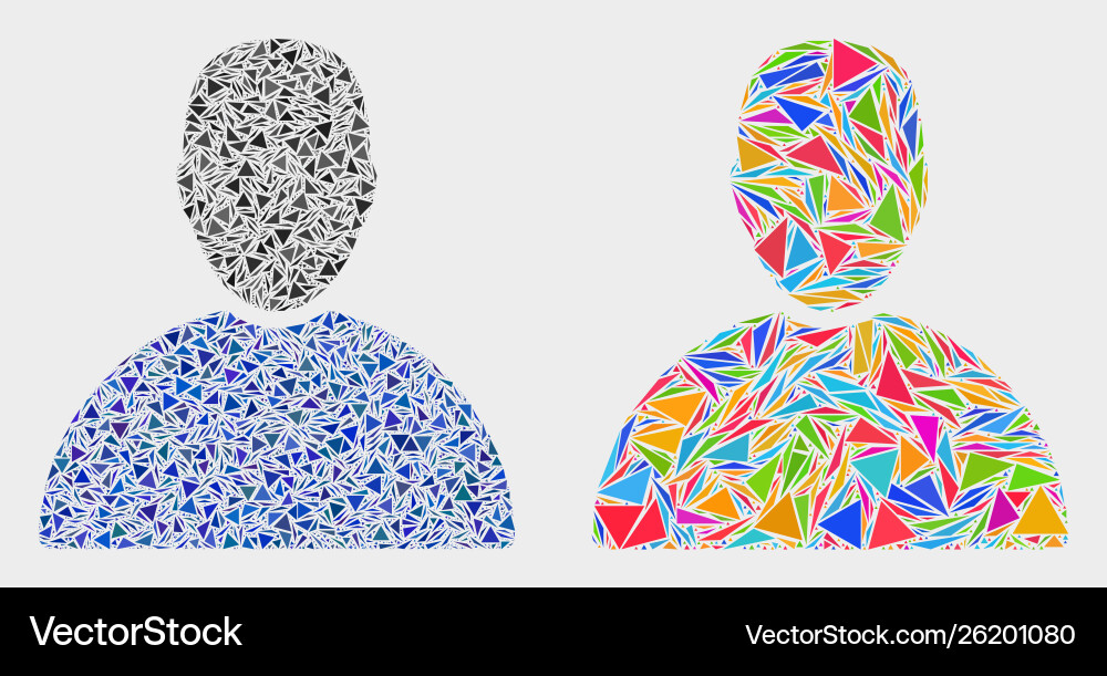 Man mosaic icon triangles Man mosaic icon triangles vector image