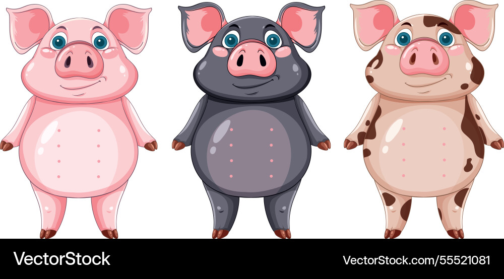 Adorable pigs with unique patterns and expressions Adorable pigs with unique patterns and expressions vector image