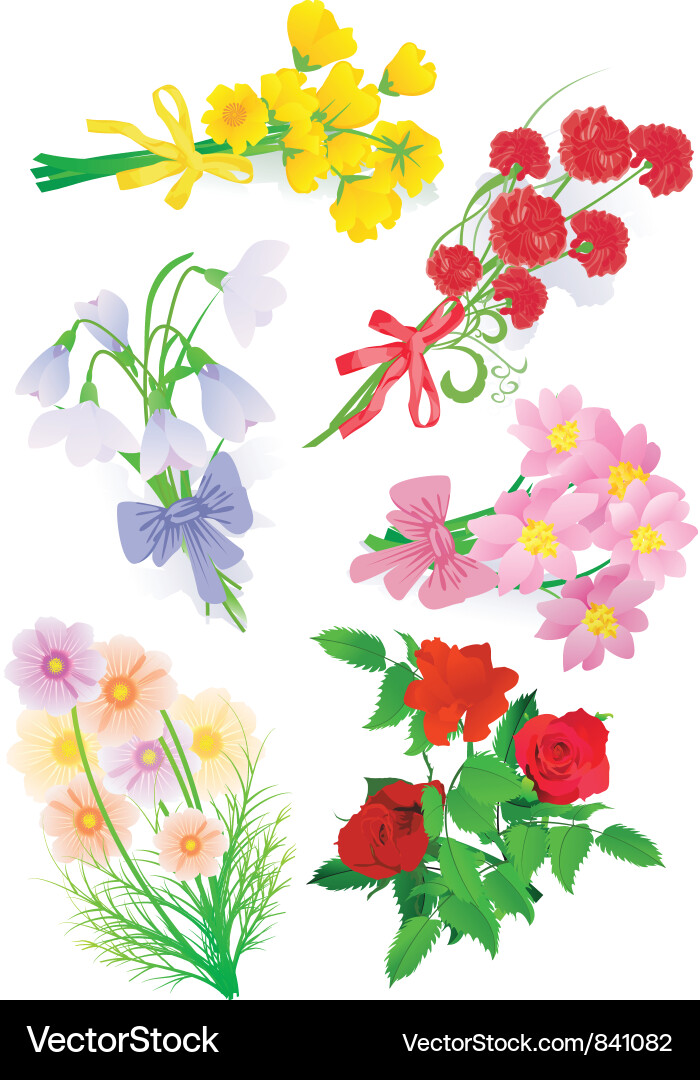 Floral Bouquet Collection Vector Image