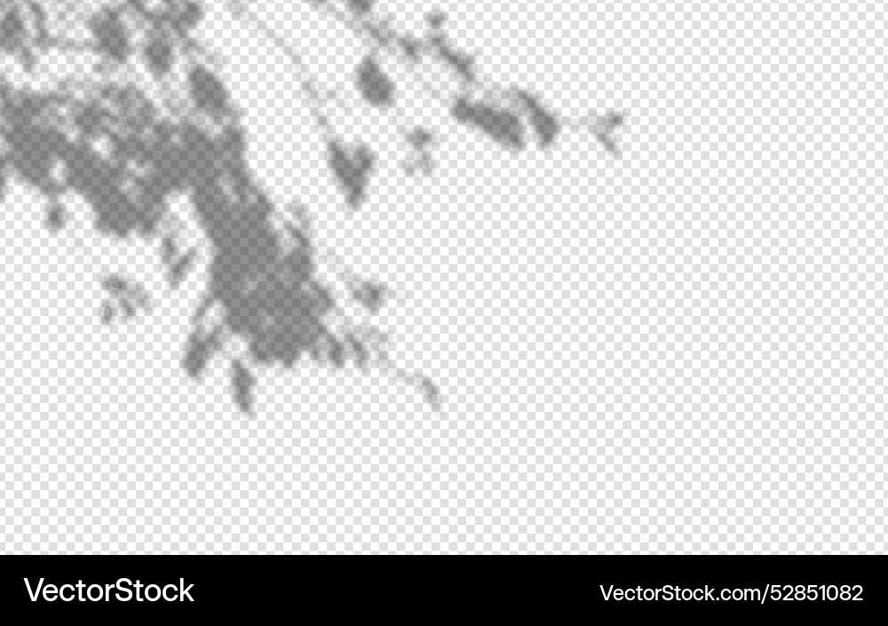 Shadow overlay from a tree branch isolated Shadow overlay from a tree branch isolated vector image