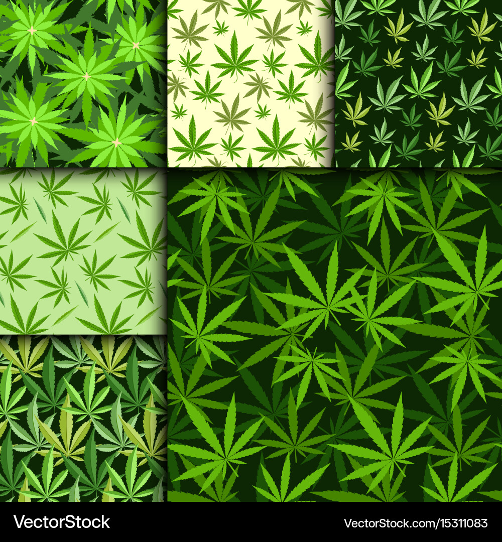 Marijuana Leaf Pattern Royalty Free Vector Image