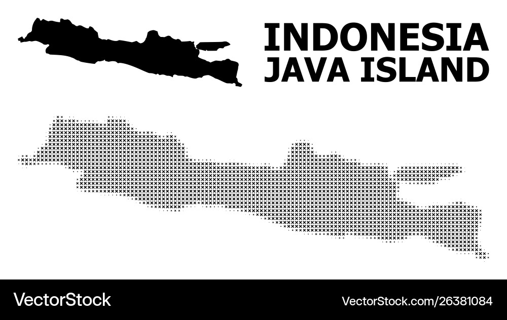 Halftone mosaic and solid map java vector image