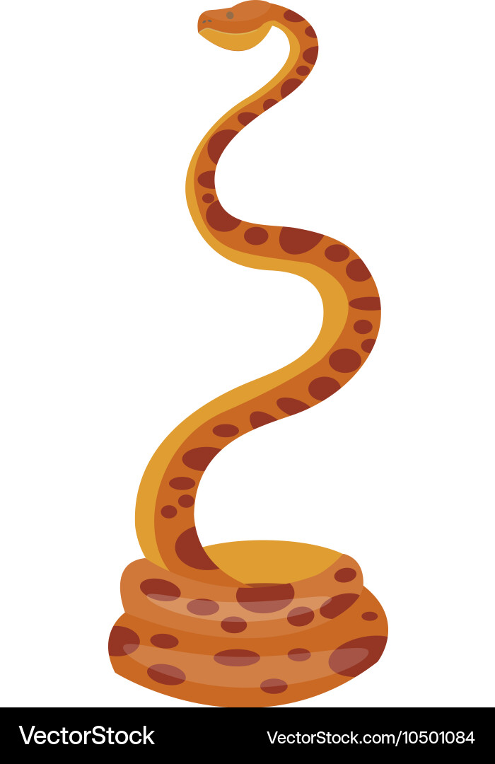 Python boa snake Vector Image