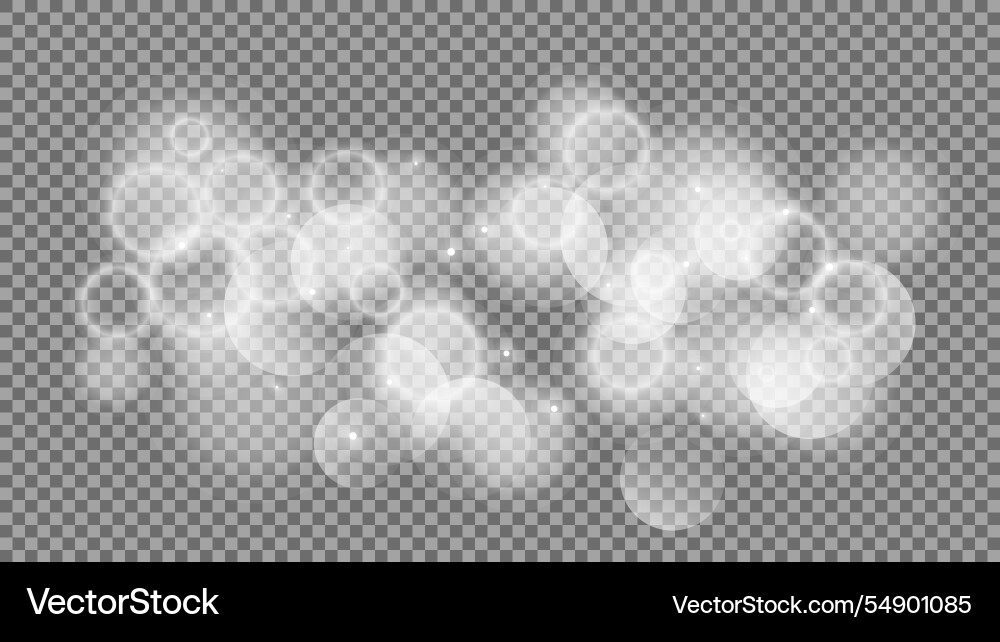 Bokeh circles on transparent background Bokeh circles on transparent background vector image