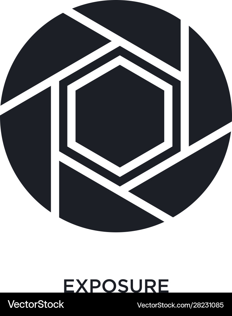 Exposure isolated icon simple element from vector image