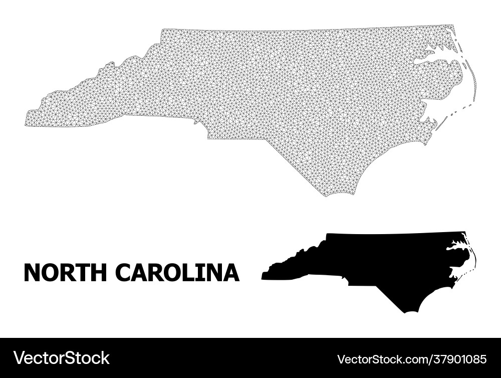 Polygonal 2d mesh high resolution map Polygonal 2d mesh high resolution map vector image