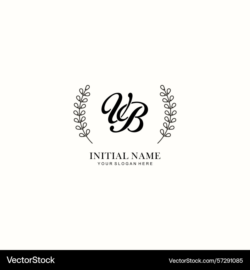 Vb initial logo templates with botanical elements Vector Image