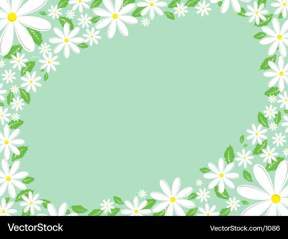 Delicate Daisy Border vector image