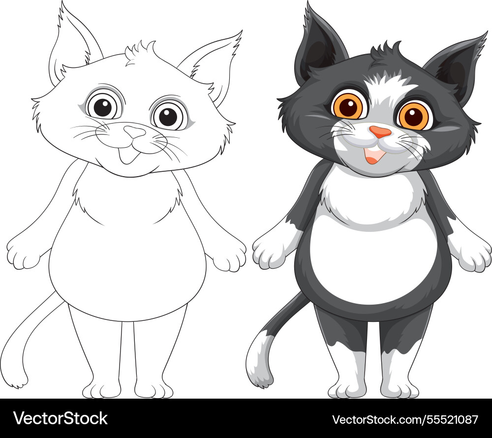 Adorable cat with outline and colored versions Vector Image