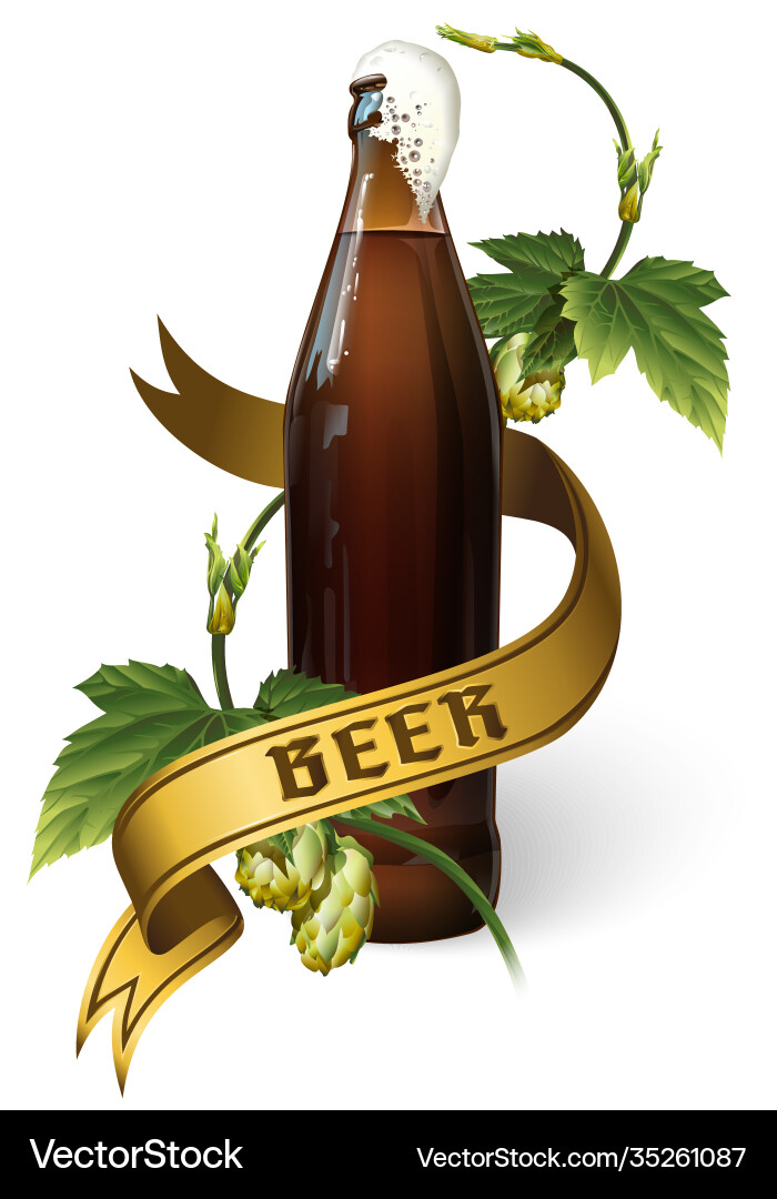 Bierflasche mit Hopfenband und Briefing Bierflasche mit Hopfenband und Briefing vektorbild