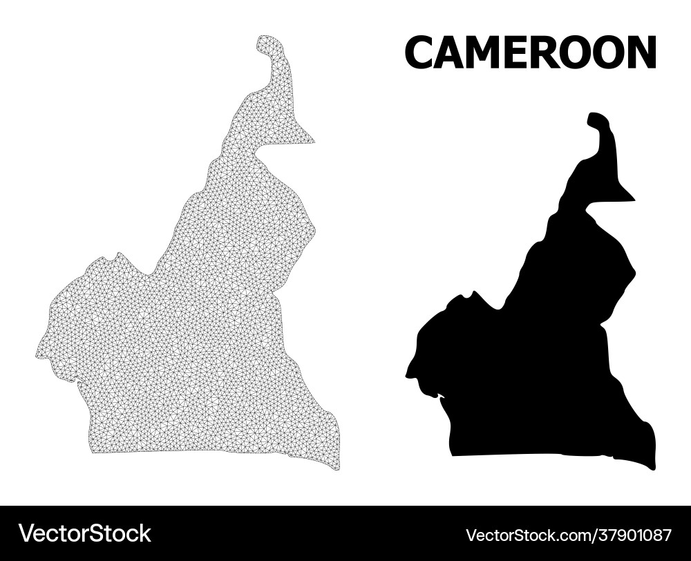 Polygonal 2d mesh high resolution map vector image
