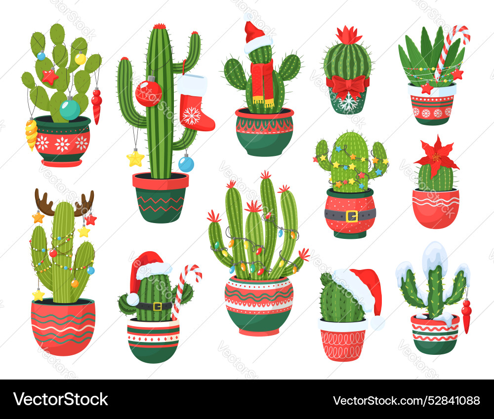 Isolated christmas mexican cactus succulents Isolated christmas mexican cactus succulents vector image