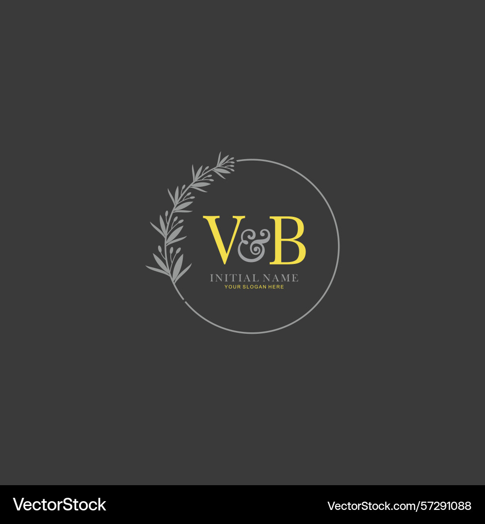 Vb initial logo templates with botanical elements Vb initial logo templates with botanical elements Vector Image