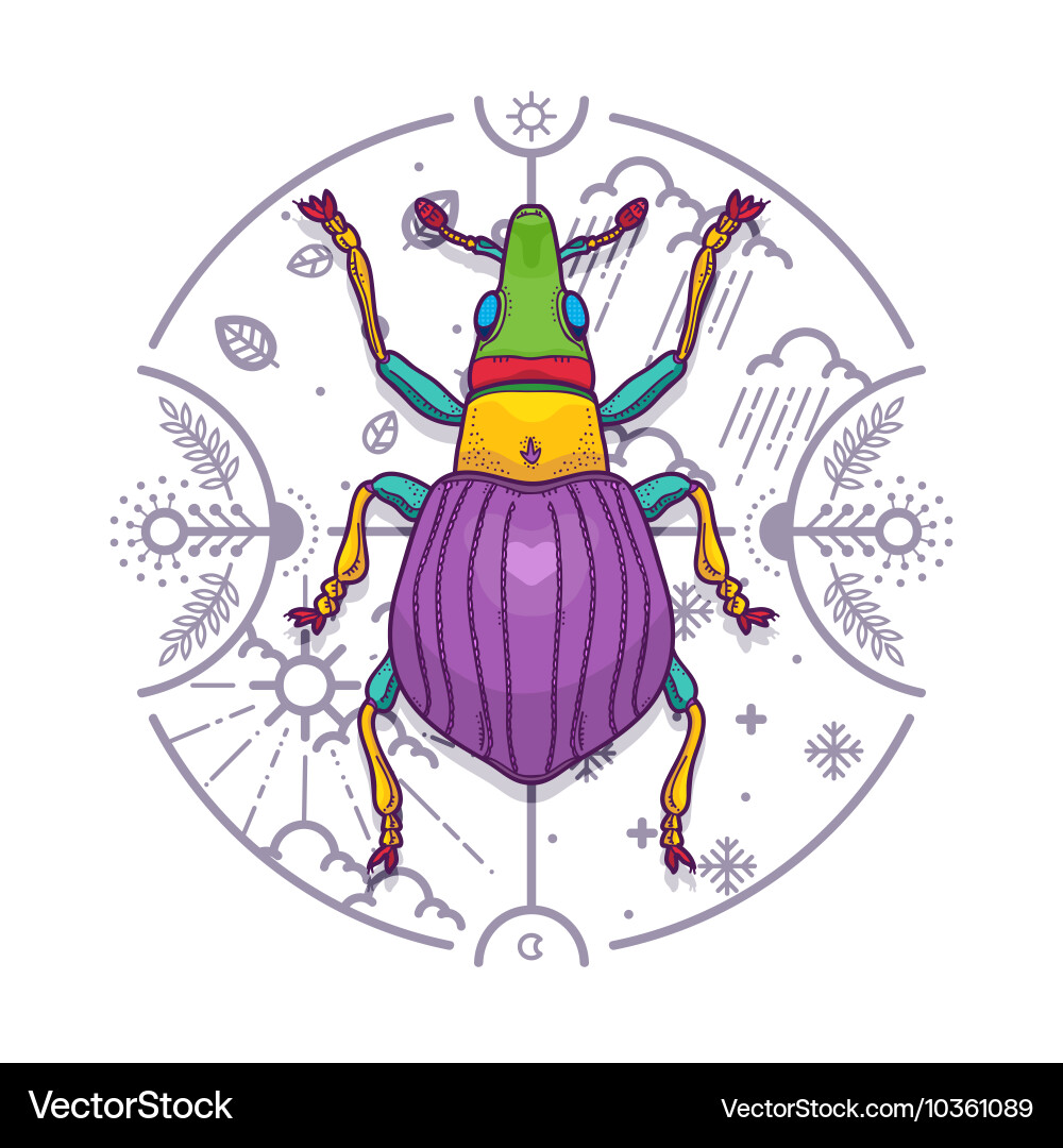 Insect beetle bug design elements line graphic vector image
