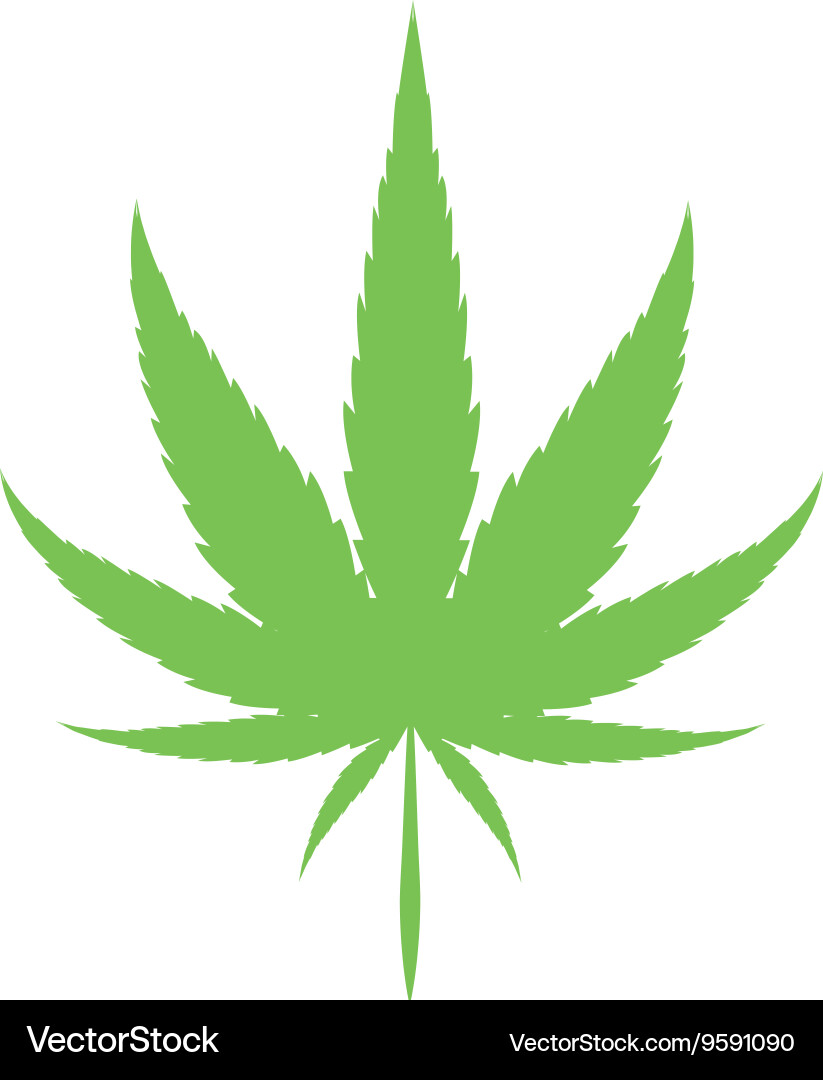 Cannabis Leaf Icon vector image