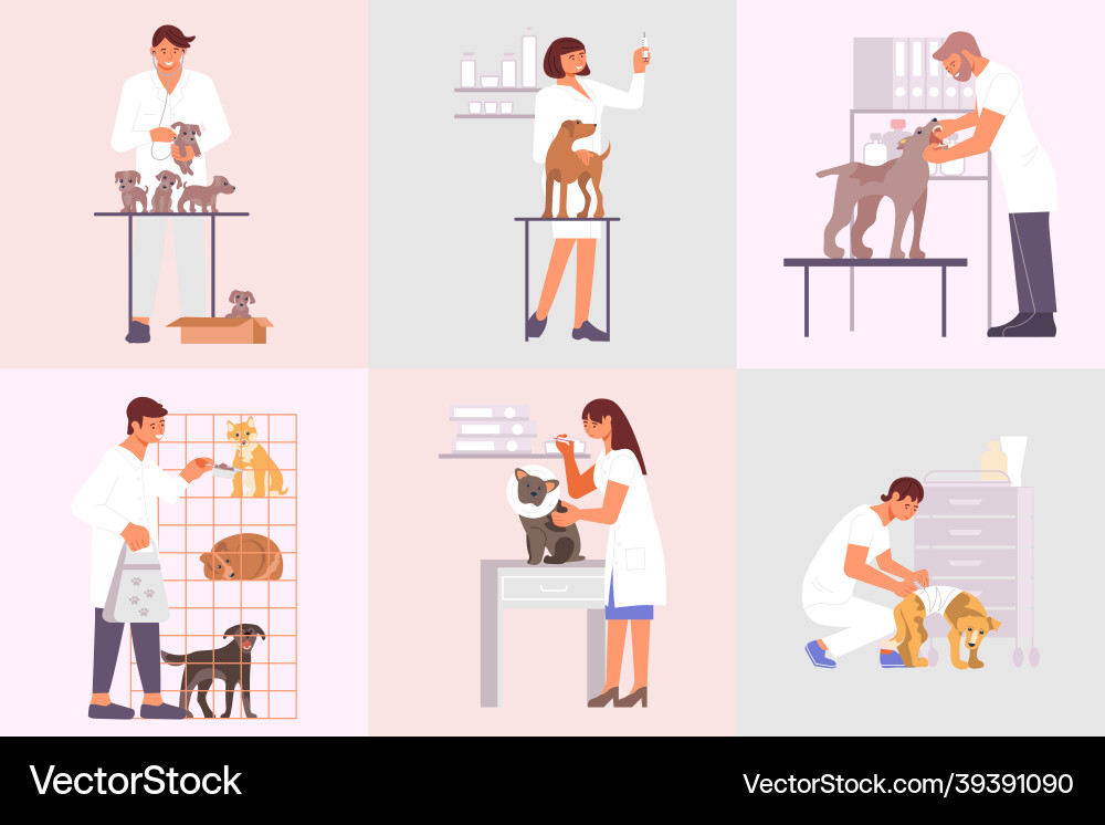 Veterinary clinic flat compositions vector image