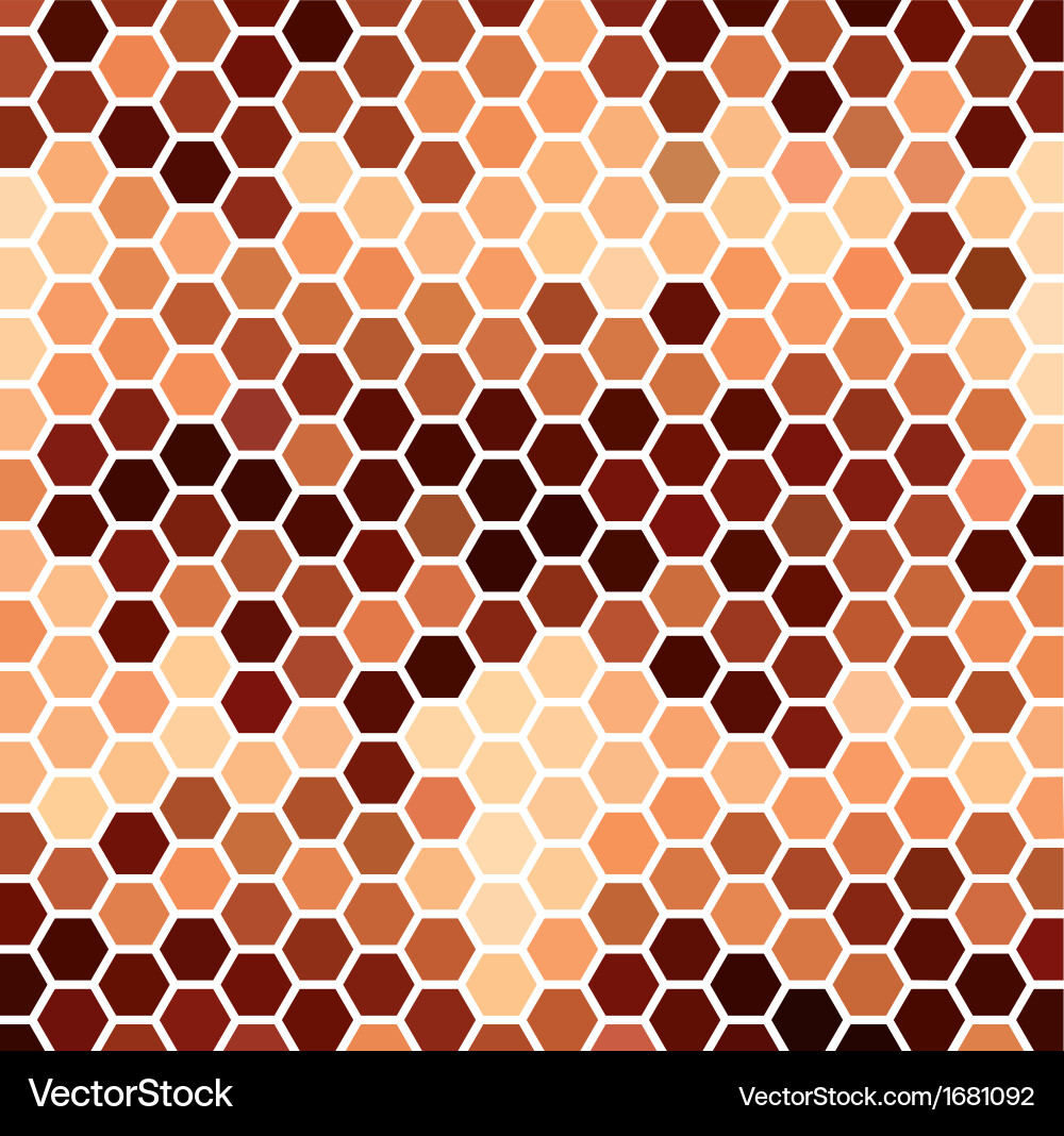 Brown Hexagonal Pattern vector image