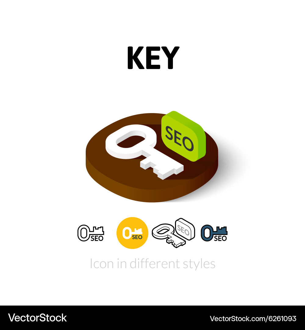 Key icon in different style Royalty Free Vector Image