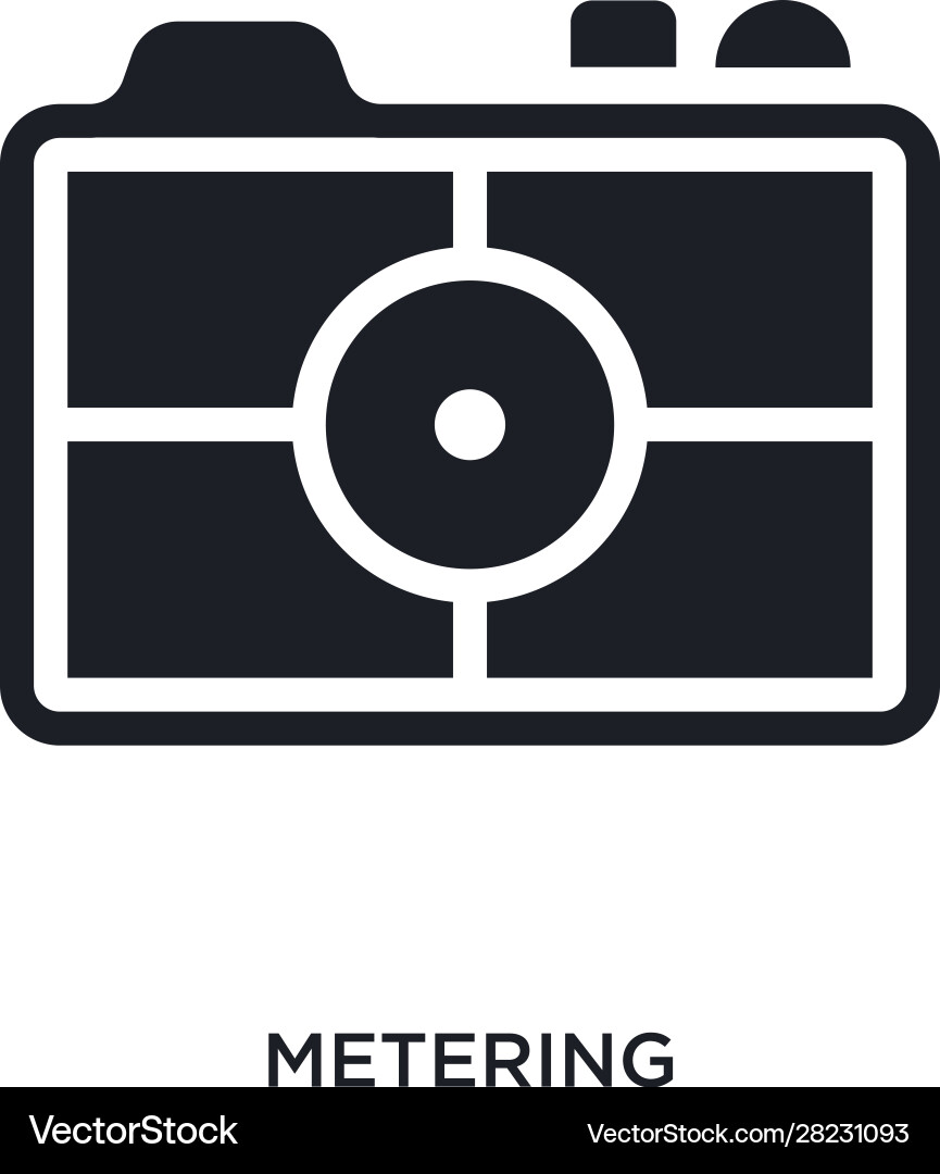 Metering isolated icon simple element from Vector Image