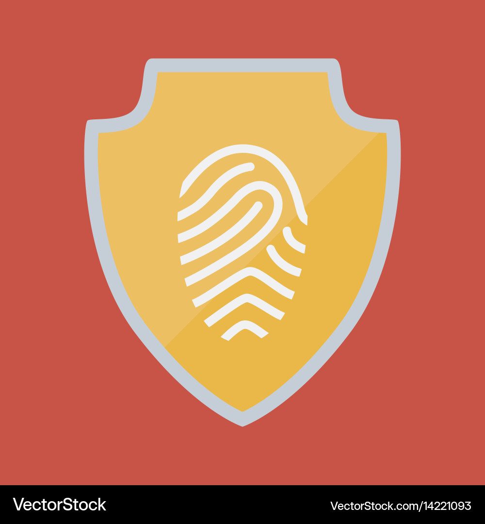 Shield and security system design Vector Image