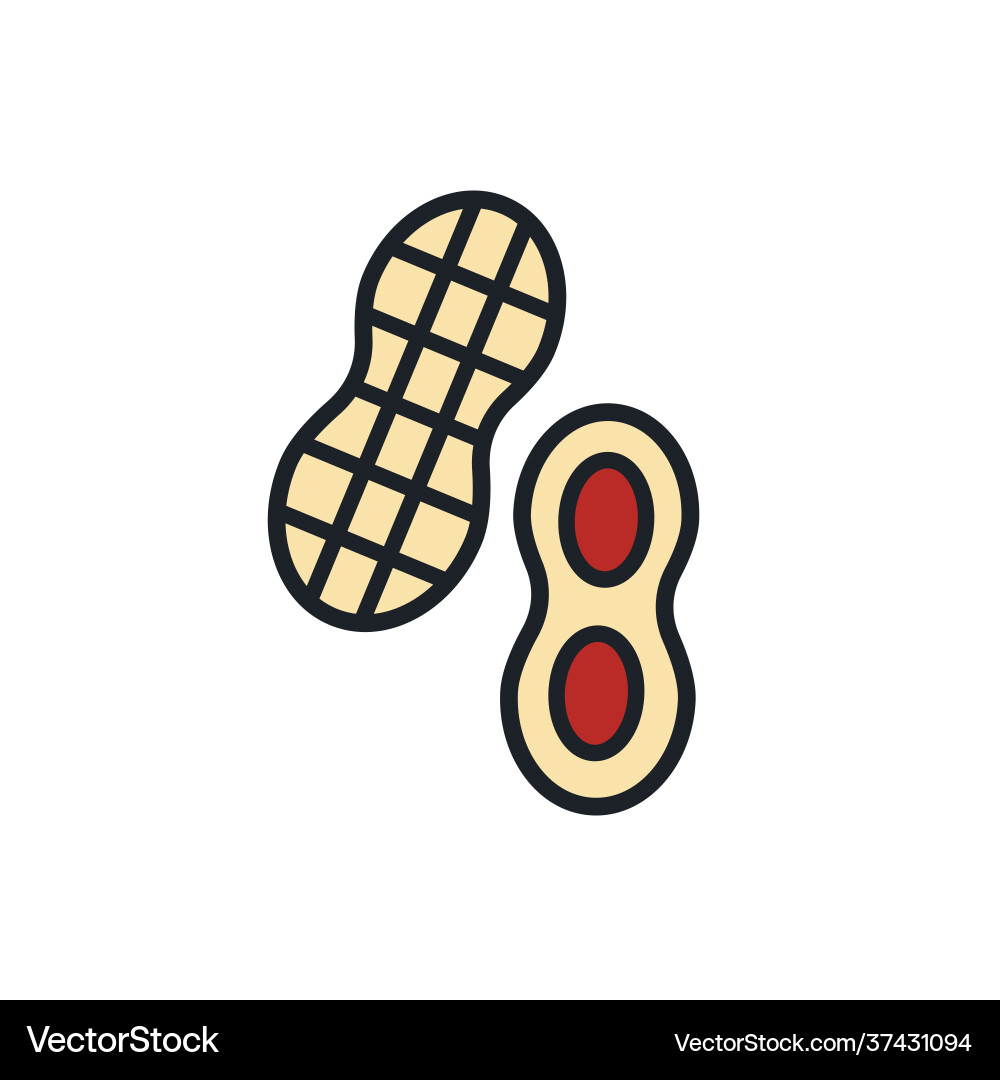 Peanut icon linear color nuts contour Peanut icon linear color nuts contour vector image