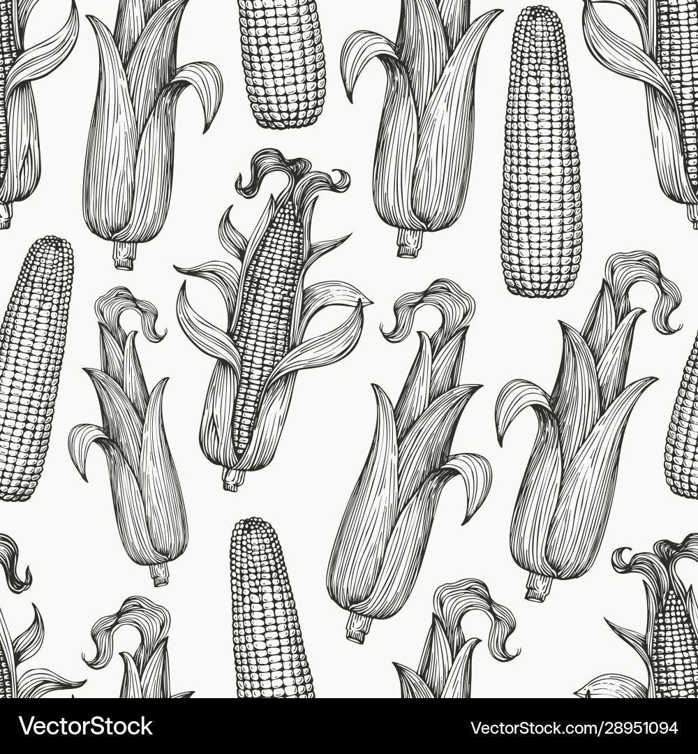 Seamless pattern with corn on cob leaves vector image