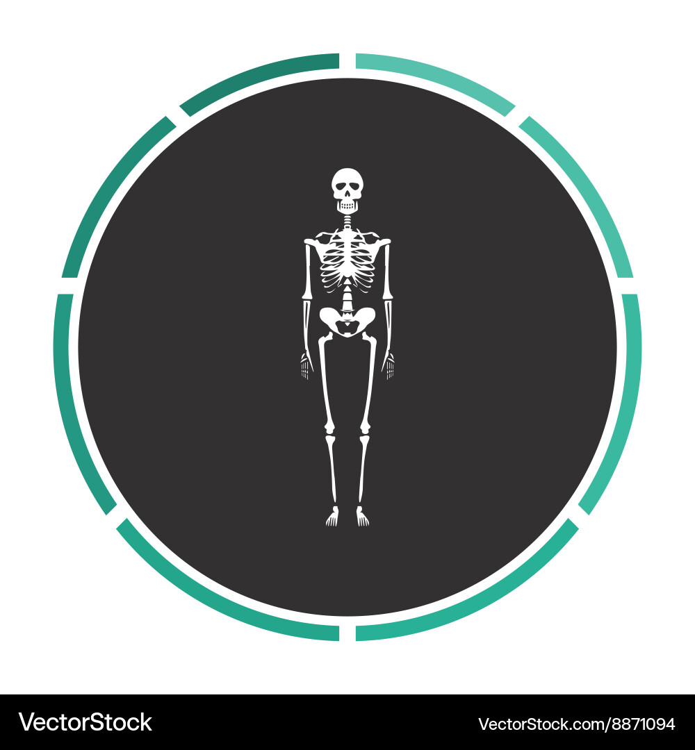Skeleton computer symbol Vector Image