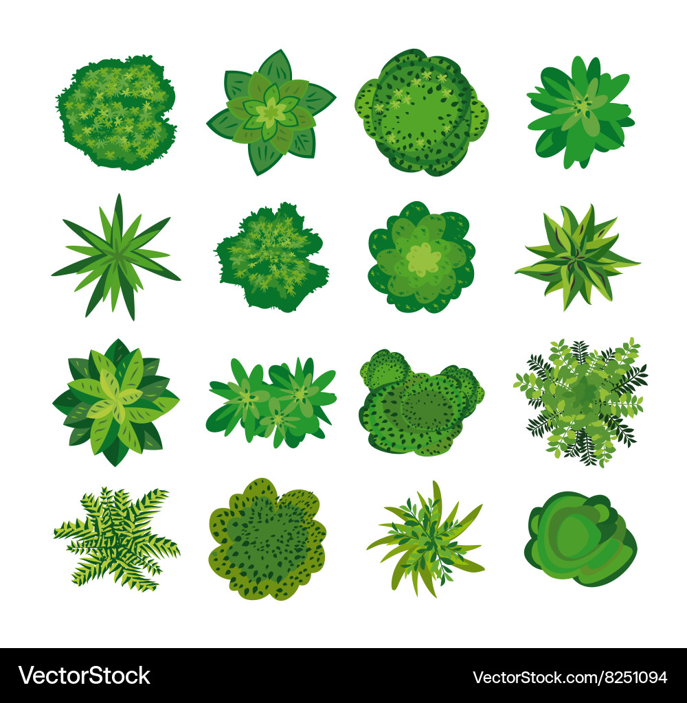 Top View Tree Collection Royalty Free Vector Image