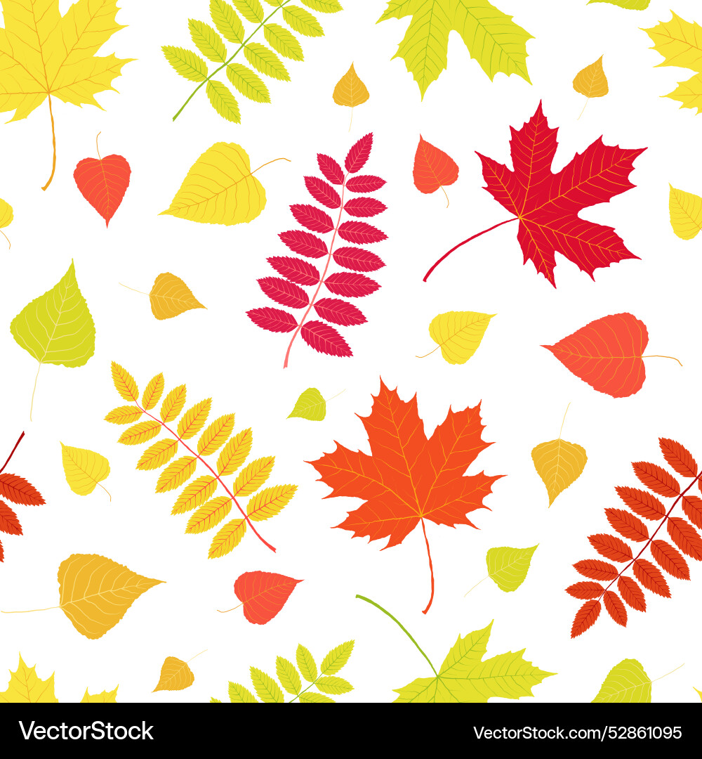 Autumn leaves pattern on white background Autumn leaves pattern on white background vector image