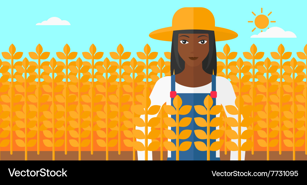 Man in wheat field Vector Image