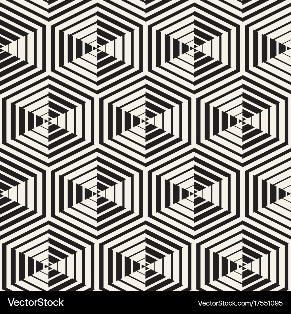 Seamless pattern with lines lattice vector image