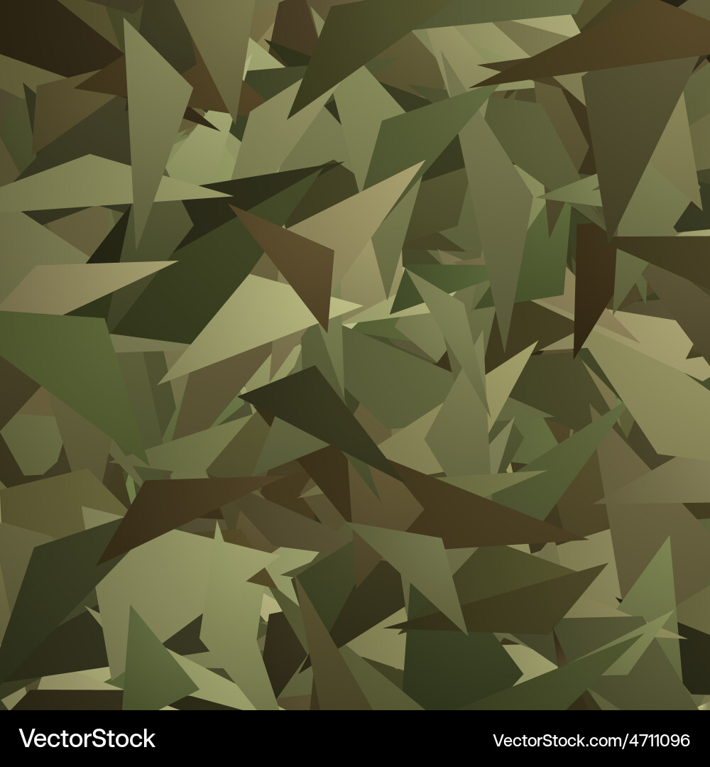 Abstract Camouflage Splash Pattern vector image