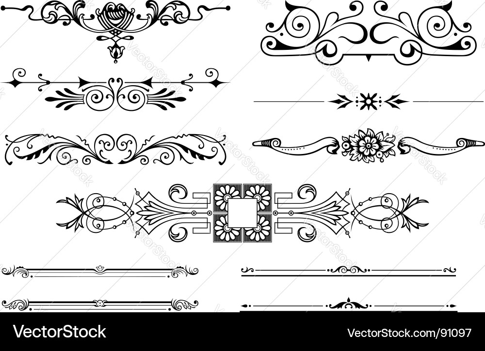 Elegant Floral Ornaments vector image