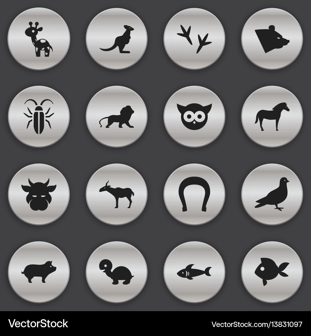 Set of 16 editable zoo icons includes symbols Set of 16 editable zoo icons includes symbols vector image