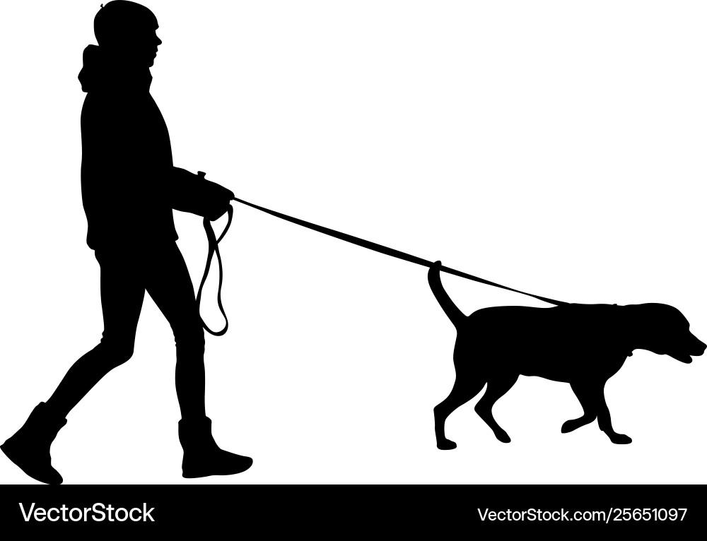 Silhouette of Woman and Dog Vector Image
