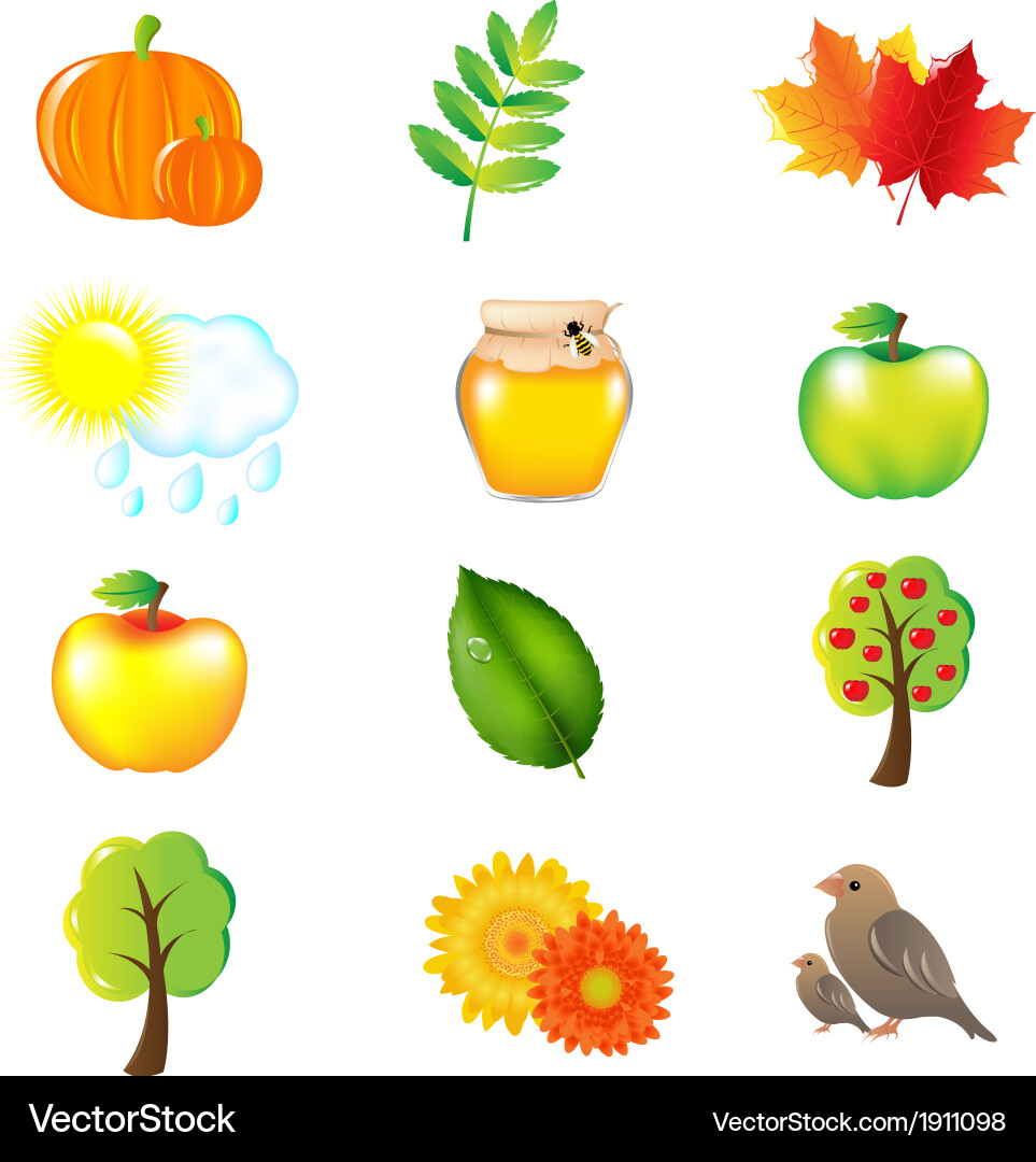 Autumn Leaves and Elements Royalty Free Vector Image