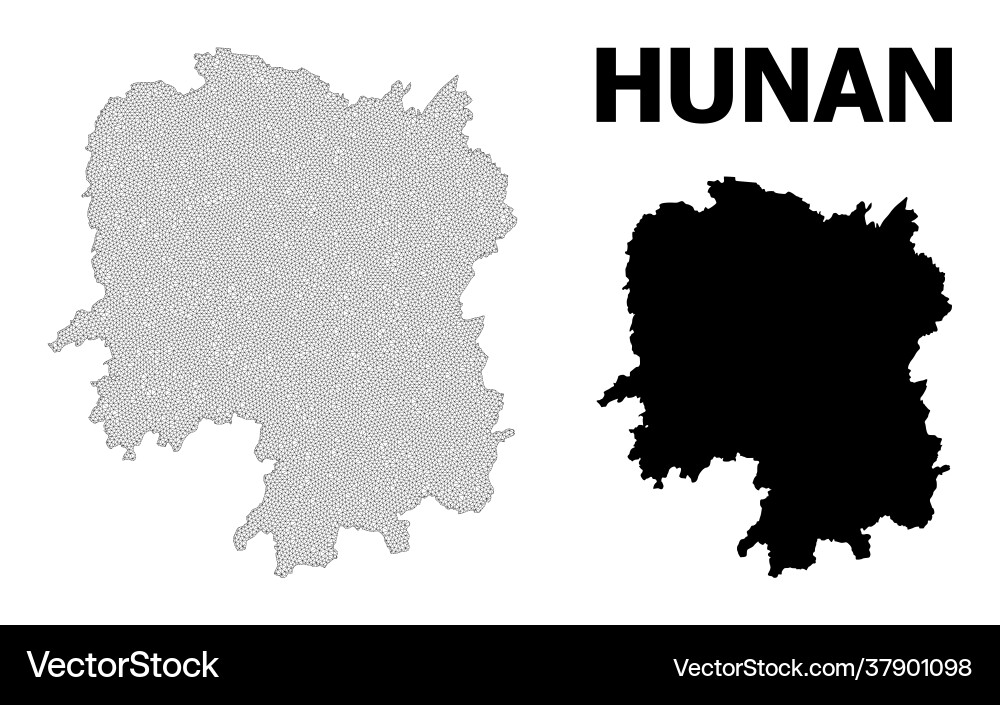 Polygonal carcass mesh high resolution map Polygonal carcass mesh high resolution map vector image