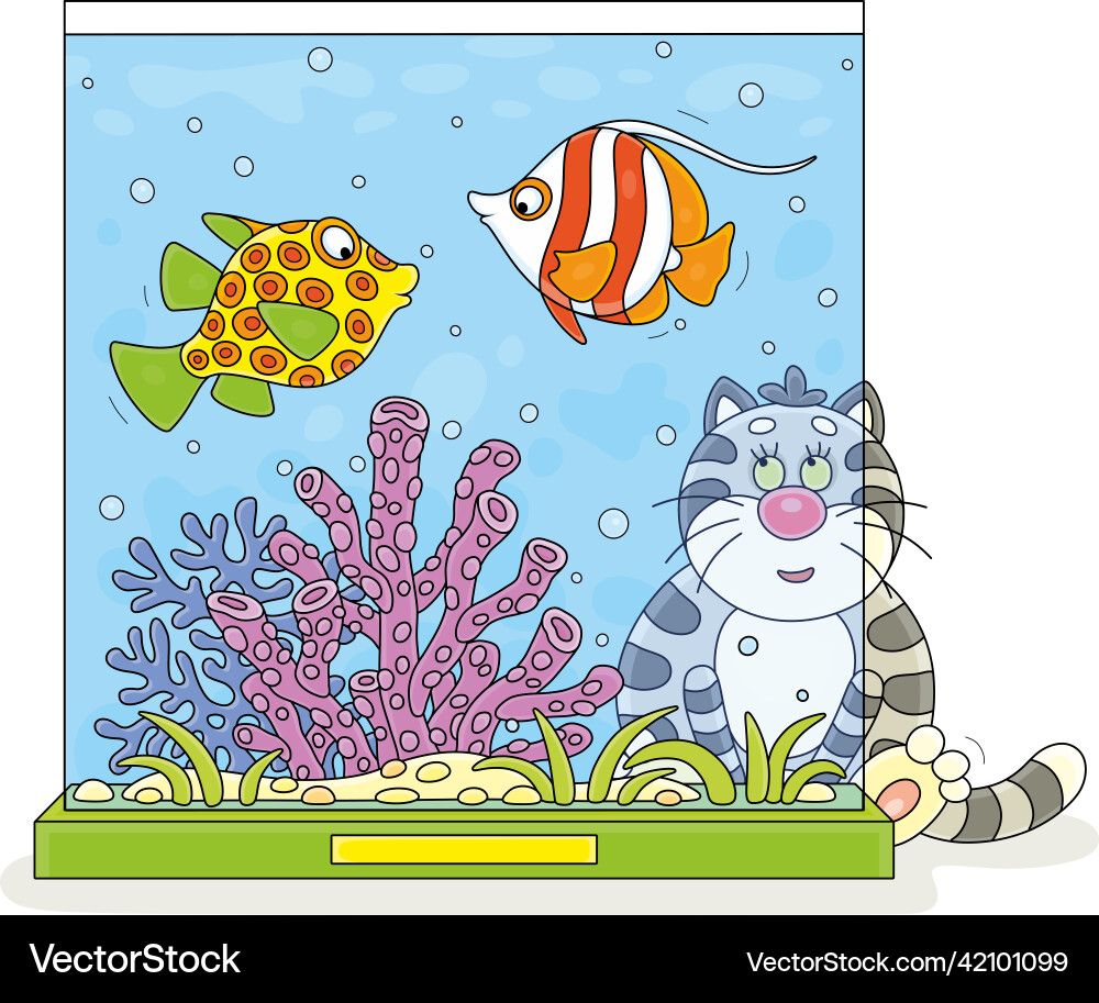 Funny cat watching fishes in an aquarium Funny cat watching fishes in an aquarium vector image