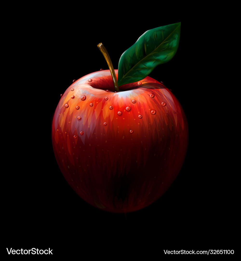 Red apple realistic color artistic image Vector Image