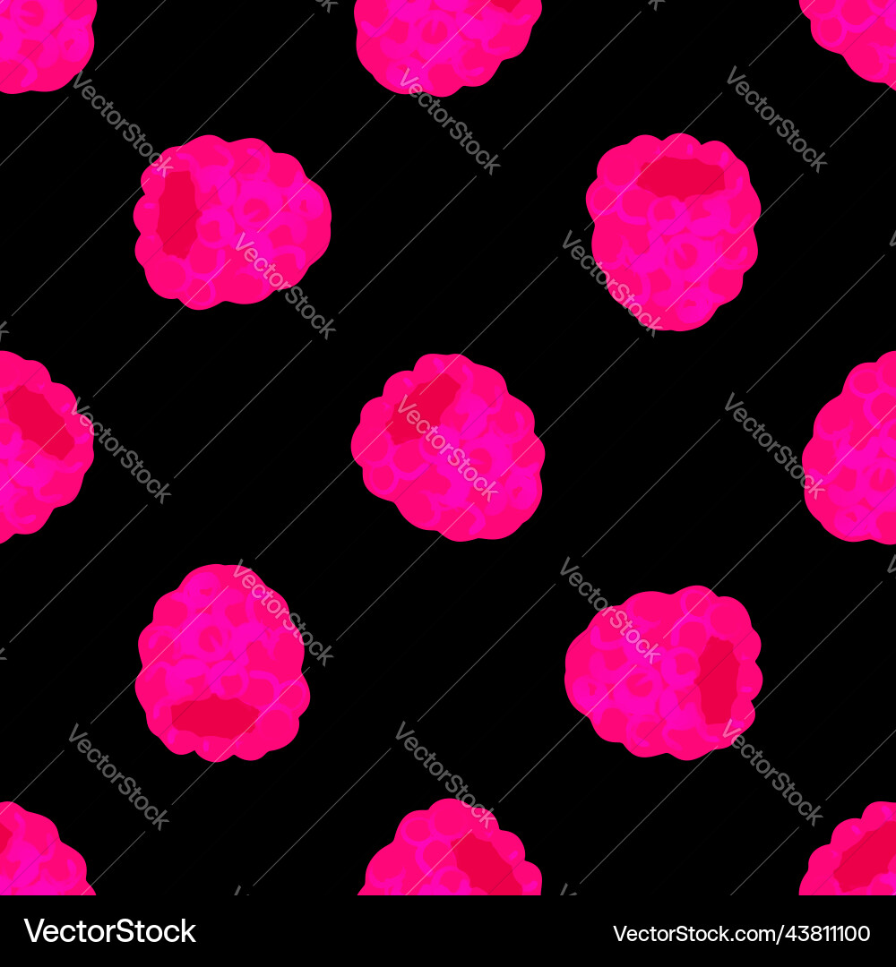 Seamless pattern with of raspberry vector image
