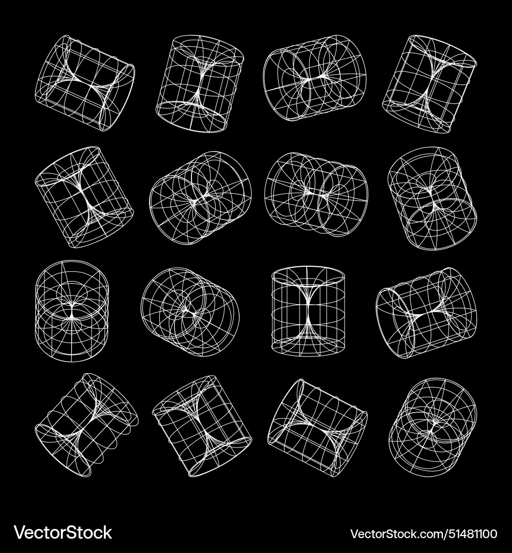 Wireframe lined shapes perspective mesh 3d grid Vector Image
