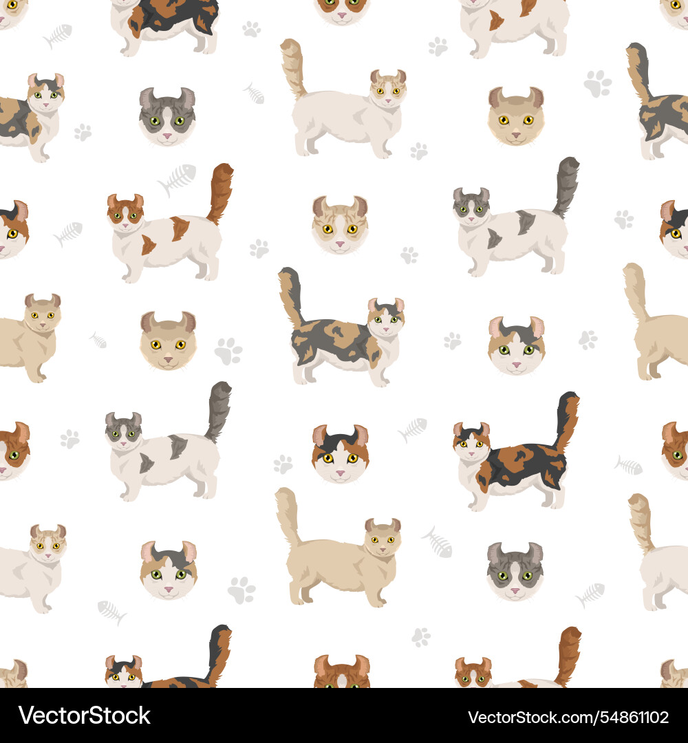 American Curl Cat Pattern Vector Image